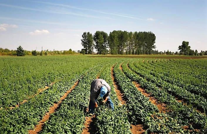 Agricultural & Farmland